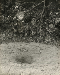 A hole in the ground by a sassafras tree with broken limbs, Glassboro NJ 1964