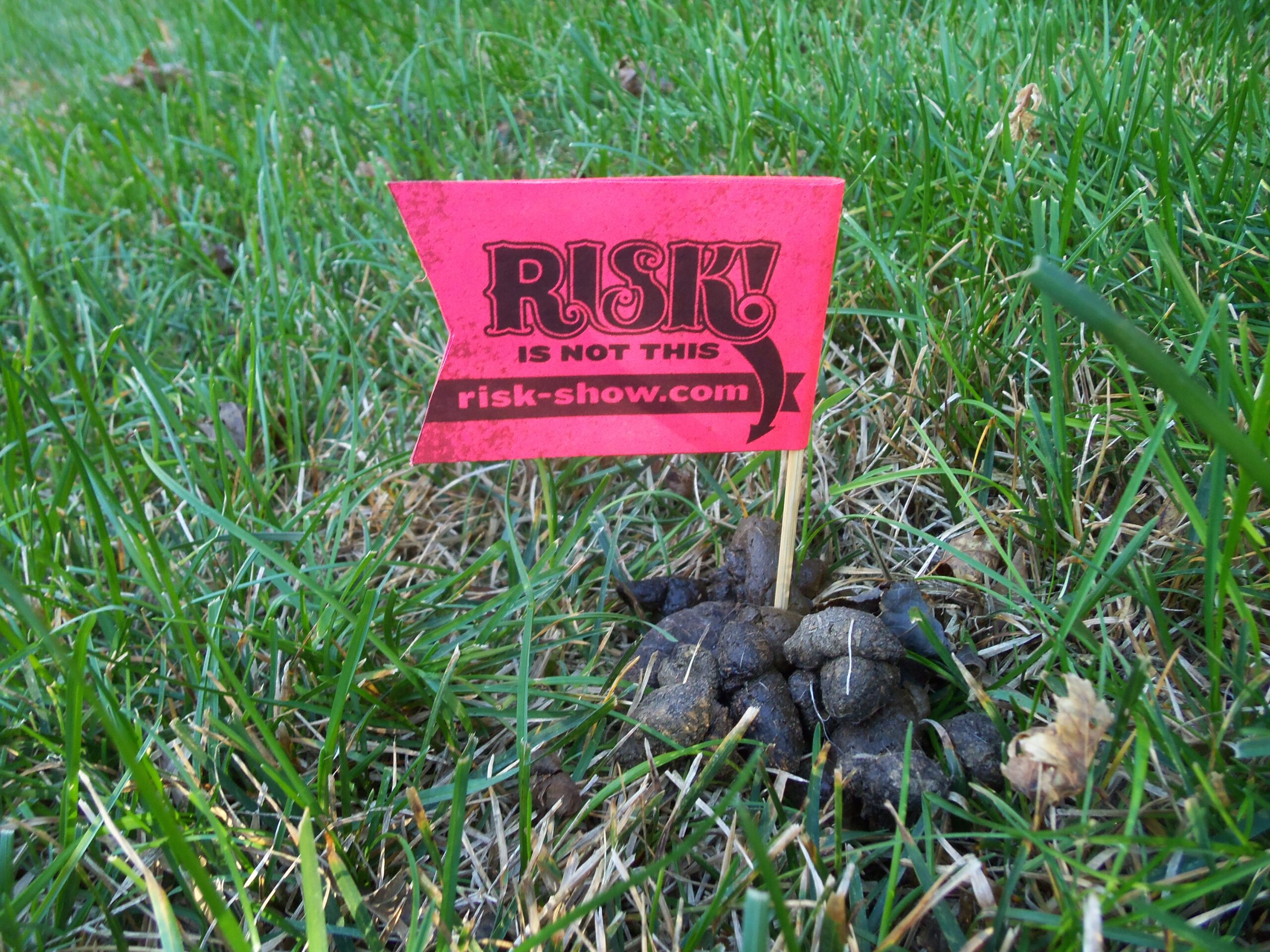 RISK